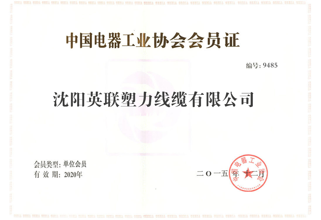 中國電器工業(yè)協(xié)會會員證(圖1)